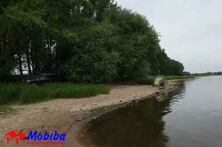 Am Ufer der Elbe